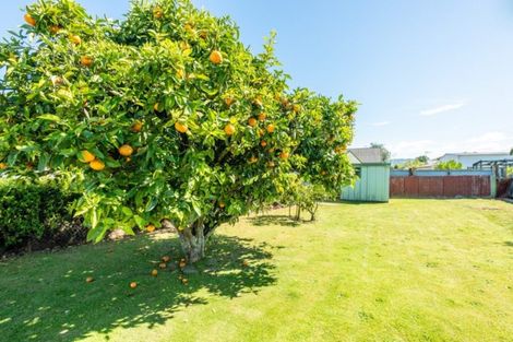 Photo of property in 1 Kauri Street, Elgin, Gisborne, 4010