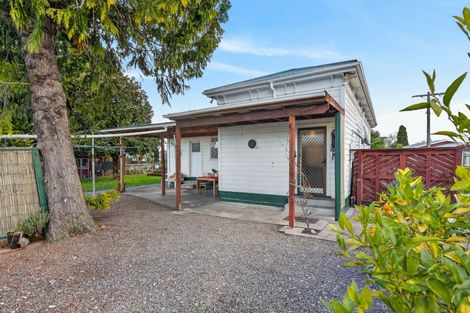 Photo of property in 137 Cockburn Street, Kuripuni, Masterton, 5810