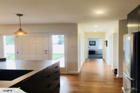 Photo of property in 141 Packe Street, Edgeware, Christchurch, 8013