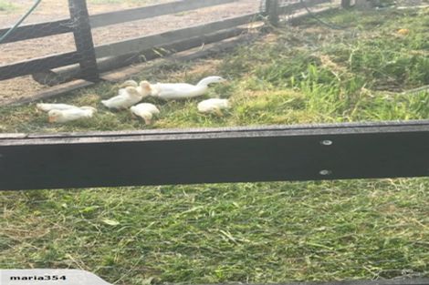 Photo of property in 5 Seddon Road, Waitoa, Te Aroha, 3393