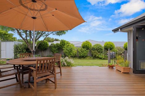 Photo of property in 38 Elmwood Avenue, Witherlea, Blenheim, 7201