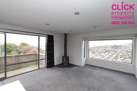 Photo of property in 24 Wills Street, Balaclava, Dunedin, 9011