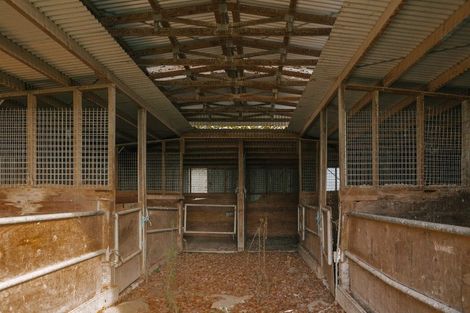 Photo of property in 44 Te Wanaka Road, Awapuni, Palmerston North, 4412