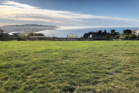 Photo of property in 3 Highgrove, Saint Clair, Dunedin, 9012