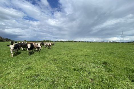 Photo of property in 104 Taplin Road, Tamahere, Hamilton, 3493