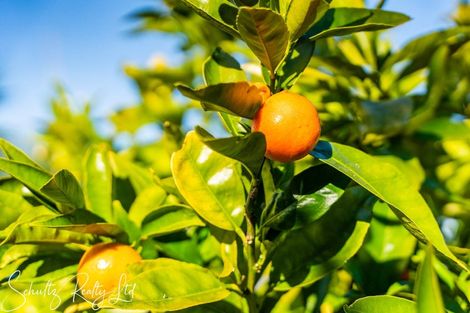 Photo of property in 1052 State Highway 12, Maungaturoto, 0583