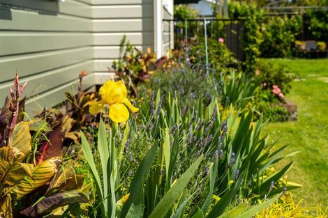 Photo of property in 16 Macfarlane Street, Kawakawa, 0210