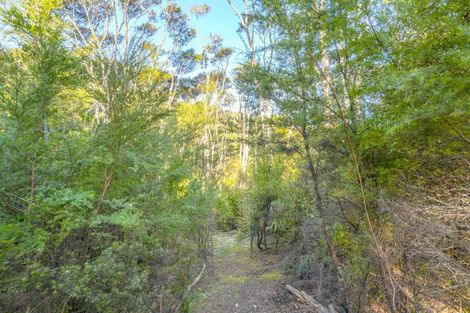 Photo of property in 7 Tironui Place, Whitianga, 3510