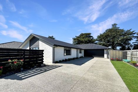 Photo of property in 50 Braebrook Drive, Netherby, Ashburton, 7700