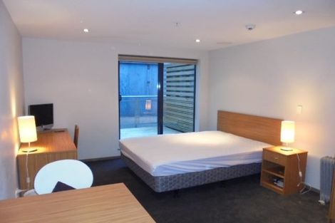 Photo of property in Dual Apartments, 108/142 Vivian Street, Te Aro, Wellington, 6011