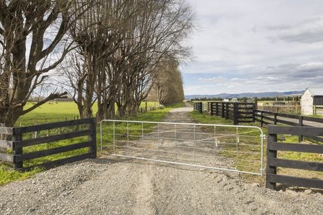 Photo of property in 265 Hoihere Road, Tiakitahuna, Palmerston North, 4477