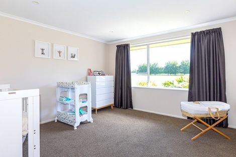 Photo of property in 233 Waipopo Road, Seadown, Timaru, 7973
