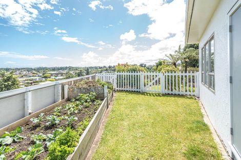 Photo of property in 14 Rawhiti Place, Saint Johns Hill, Whanganui, 4501