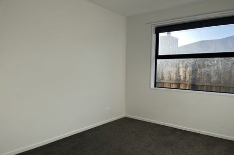 Photo of property in 55 Bonecrusher Street, Lincoln, 7608