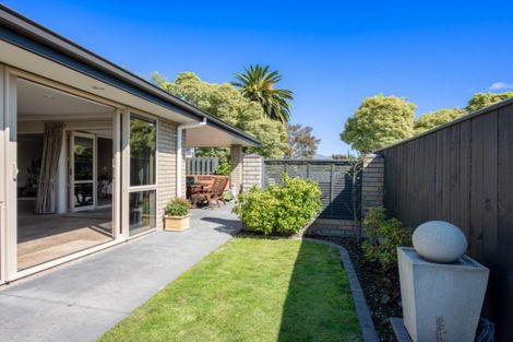 Photo of property in 37b Parker Street, Mayfield, Blenheim, 7201