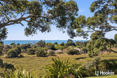 Photo of property in 153 Koutunui Road, Athenree, Katikati, 3177