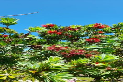 Photo of property in 190 Gleeson Road, Pollok, Waiuku, 2683