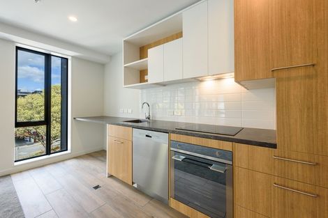 Photo of property in Vsp South, 206/168 Victoria Street, Te Aro, Wellington, 6011