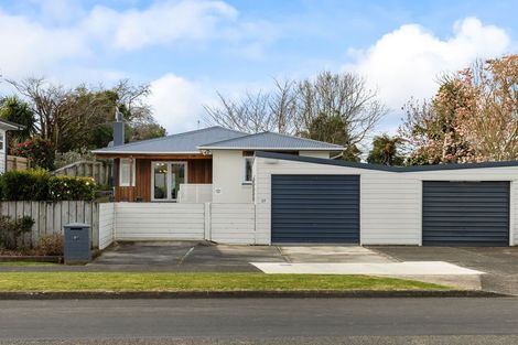Photo of property in 27 Macarthur Street, Levin, 5510