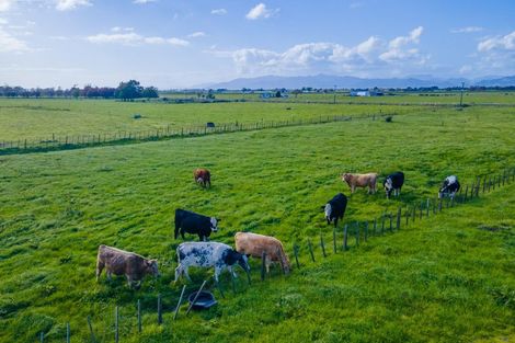 Photo of property in 293 River Road, Kawerau, 3127