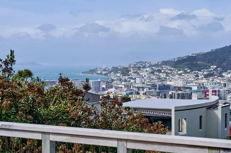 Photo of property in 44 Mortimer Terrace, Aro Valley, Wellington, 6021