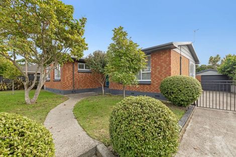 Photo of property in 56 Windsor Street, Terrace End, Palmerston North, 4410