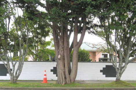 Photo of property in 50 Paramount Parade, Tikipunga, Whangarei, 0112