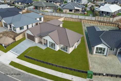 Photo of property in 33 Fairway Drive, Morrinsville, 3300