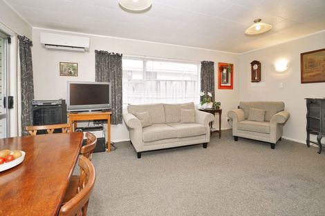 Photo of property in 391a Peachgrove Road, Fairfield, Hamilton, 3214