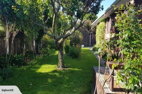 Photo of property in 17 Awanui Drive, Waikanae, 5036