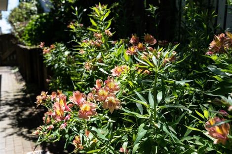 Photo of property in 2/130 Sandspit Road, Shelly Park, Auckland, 2014