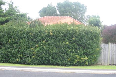 Photo of property in 34a Nile Road, Milford, Auckland, 0620