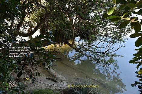 Photo of property in 186 Metcalfe Road, Ranui, Auckland, 0612