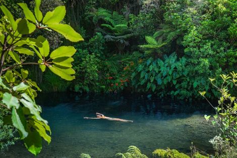 Photo of property in 251 Old Coach Road, Kaimarama, Whitianga, 3591