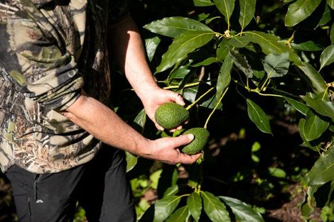 Photo of property in 229 Athenree Road, Athenree, Waihi Beach, 3177