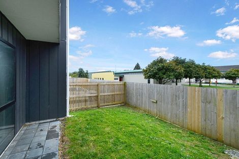 Photo of property in 41 Eileen Newey Place, Henderson, Auckland, 0612