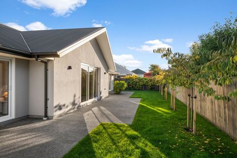 Photo of property in 17 Slater Street, Richmond, Christchurch, 8013