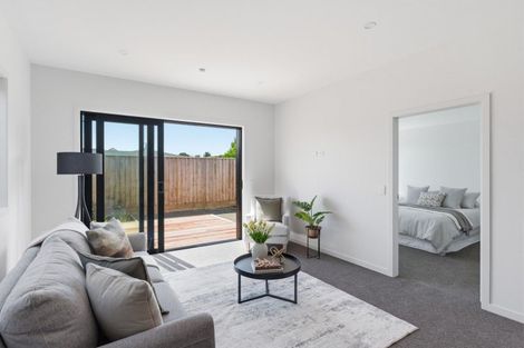 Photo of property in 3/17 Clark Street, Levin, 5510