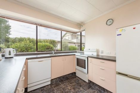 Photo of property in 28 Edward Street, Richmond, 7020