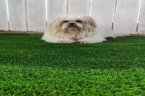 Photo of property in 4 Turkington Street, Tawa, Wellington, 5028