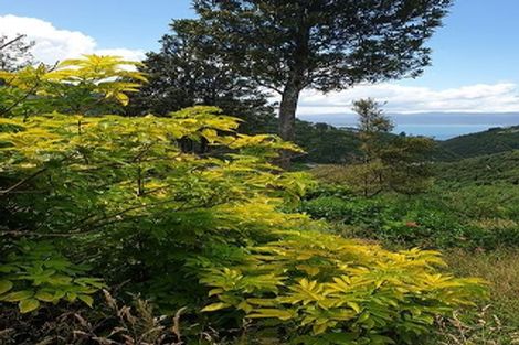 Photo of property in 53 Ngaio Gorge Road, Ngaio, Wellington, 6035