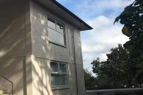 Photo of property in 335 Mount Eden Road, Mount Eden, Auckland, 1024