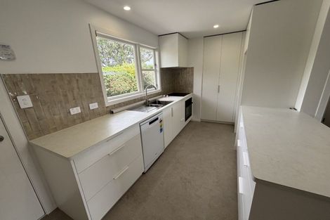 Photo of property in 55 Windsor Street, Terrace End, Palmerston North, 4410