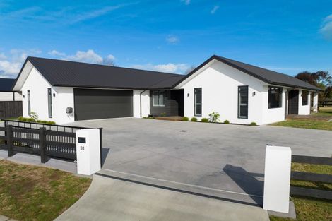 Photo of property in 31 Kaimai Drive, Matamata, 3400