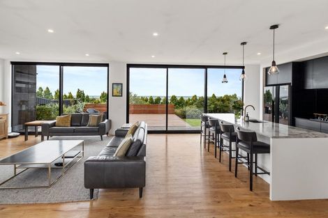 Photo of property in 7 Lancewood Terrace, Oceanview, Timaru, 7910