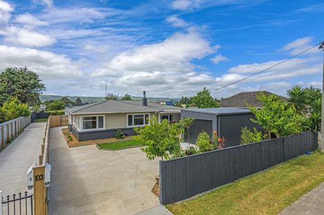 Photo of property in 103 Mulgrave Street, Ashhurst, 4810