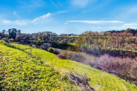 Photo of property in 166 Te Pahu Road, Te Pahu, Hamilton, 3285