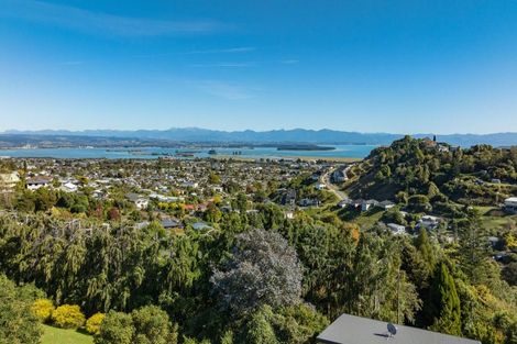 Photo of property in 64 Newman Drive, Enner Glynn, Nelson, 7011