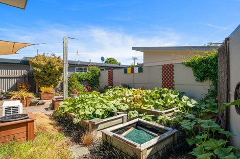 Photo of property in 25d Ward Street, Springlands, Blenheim, 7201
