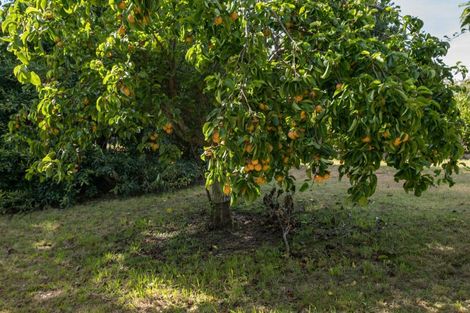 Photo of property in 118 Pomona Road, Ruby Bay, Upper Moutere, 7173